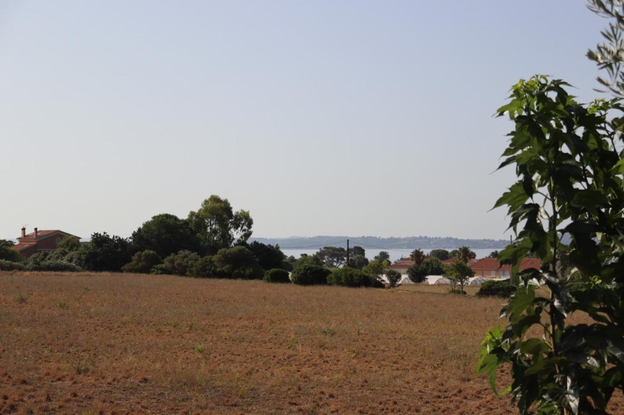 Apartament Le Petit Sud Carqueiranne Zewnętrze zdjęcie